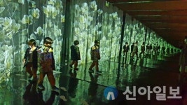 리뉴얼 마친 광양와인동굴, 방문객 큰 호응