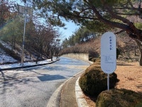 군산대 캠퍼스 문화유산 탐방로‘미룡역사길’조성