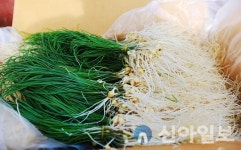 향긋한 서산 달래 식탁에서 만나보세요