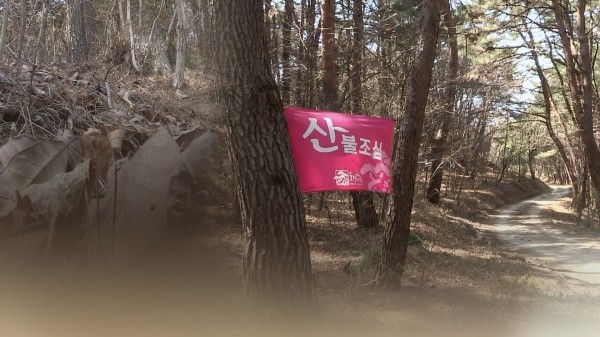 한국, 기후변화로 인한 건조와 강풍으로 산불 위기
