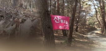 한국, 기후변화로 인한 건조와 강풍으로 산불 위기
