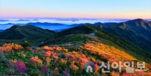구례군, 11일부터 노고단 일주도로 통행재개