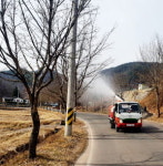 의령군, 가로수 병해충 방제 총력