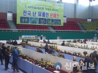 함평군, ‘대한민국 난 명품대제전’ 26~27일 개최