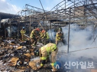 최근 5년간 충남지역 비닐하우스 화재 총 732건