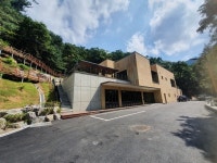 “숲이 백신이다”…숲으로 떠나는 치유 힐링 여행