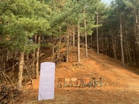 “숲이 백신이다”…숲으로 떠나는 치유 힐링 여행