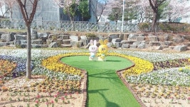경산시, 꽃향기 가득한 남천둔치 어울림 꽃화단 조성