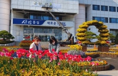 창원 특례시, 시청 앞 광장 만발한 꽃 시민 볼거리 제공