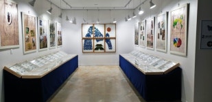 문경새재 생태공원 옛길 곤충표본 특별전