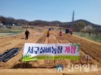 서구시설公 연희노인문화센터, 노인 사회활동 위한 실버농장 개장