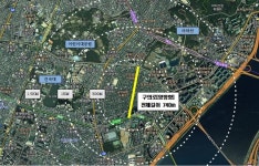 광진구, 구의로 전체 산딸나무 가로수 특화거리 조성