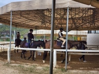 동두천양주교육지원청 승마 체험 프로그램 운영