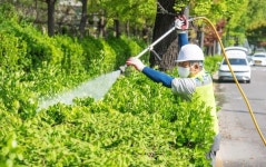 용산구, 봄맞이 도시 환경 대 정비 추진