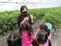 진주청동기문화박물관, 딸기 체험 프로그램 성공리 마무리