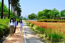 황토로 힐링하세요 남원시, 도심 속 향기원 황톳길 개장