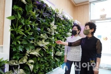 해남군, 의료기관 2곳에 스마트가든 조성