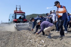 합천, 마늘 기계 수확 작업 현장 연시회