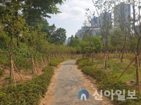 남동구, 늘솔길근린공원에 미세먼지 차단 숲 조성