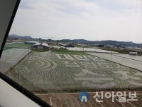 홍내뜰에 2023순천만국제정원박람회를 그리다