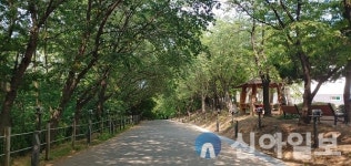 미추홀구, 승학산 둘레길 개선사업 완료