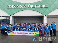 인천옹진농협, 포도봉지 씌우기 농촌일손돕기 실시