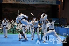 홍천 손양·천천고, ‘제34회 경희대 총장기 전국남녀고교 태권도대회’ 쾌거