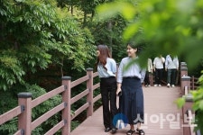 보성군 제암산자연휴양림, 휴가철 손님맞이 분주