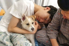 [기획] 유기 동물들의 든든한 파수꾼, ‘용인시 동물보호센터’