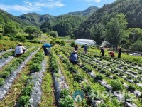 홍천노천리 공작산마을, 귀농·귀촌 스테이 활동 전개