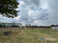 용산공원, 오염 정화 전 토양 안전성 분석