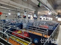 밀양시, 2022 축산분야 ICT 융복합 확산사업 추진