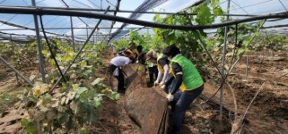 대전시자원봉사연합회, 충남 수해피해 현장 복구 총력