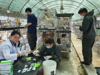 진주시, 하절기 가축 무료 순회진료 실시