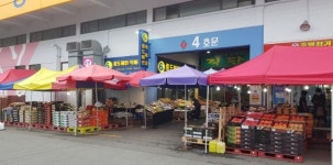 창원, 농산물판매 특설매장 운영