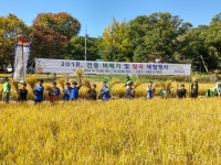 도봉구 무수골 친환경 논에서 아이들과 추수 체험하세요