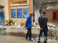 홍천군 치매안심센터, 제15회 치매 극복의 날 기념행사 개최