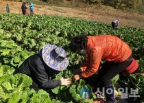 강원랜드, “생명사랑, 녹색치유농장 치유 효과 커