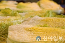 서산시, 김장철 서산 절임배추 주문 쇄도