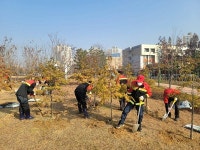서구, 석남이음숲서 11월 숲 가꾸기 활동