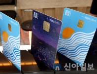 영월별빛고운카드, 누적 1346억 돌파...군민 만족도 상승