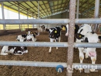 홍천군, 깨끗한 축산농장 하반기 사후관리 점검