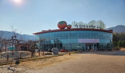 창원시, 정월대보름 창원단감테마공원에 쥐불놀이 체험 개최