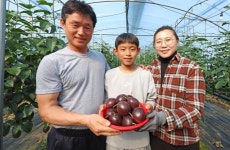 ‘새콤달콤 백향과’ 산청에서 만나보세요