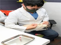 양천구, 길고양이 520마리 중성화 수술 지원