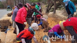 홍천화촌면 야시대 1리 주민주도형마을만들기 사업 활동전개