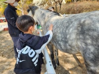 대전시설관리공단, 복용승마장 체험승마 시범운영 실시