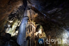 정선군, 화암동굴 종합학술조사 연구용역 진행