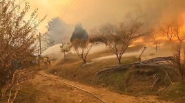 대전·홍성 산불, 강풍에 다시 확산… 진화율 67％