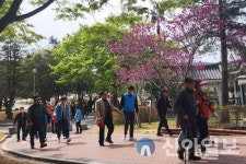 경북문화관광공사, 보문관광단지서 시각장애인들의 행복한 봄꽃나들이